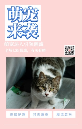 萌宠来袭 高级护理 时尚造型 潮流装扮 萌宠达人引领潮流 全场七折优惠，有买有赠 宠物护理促销活动简约手机海报