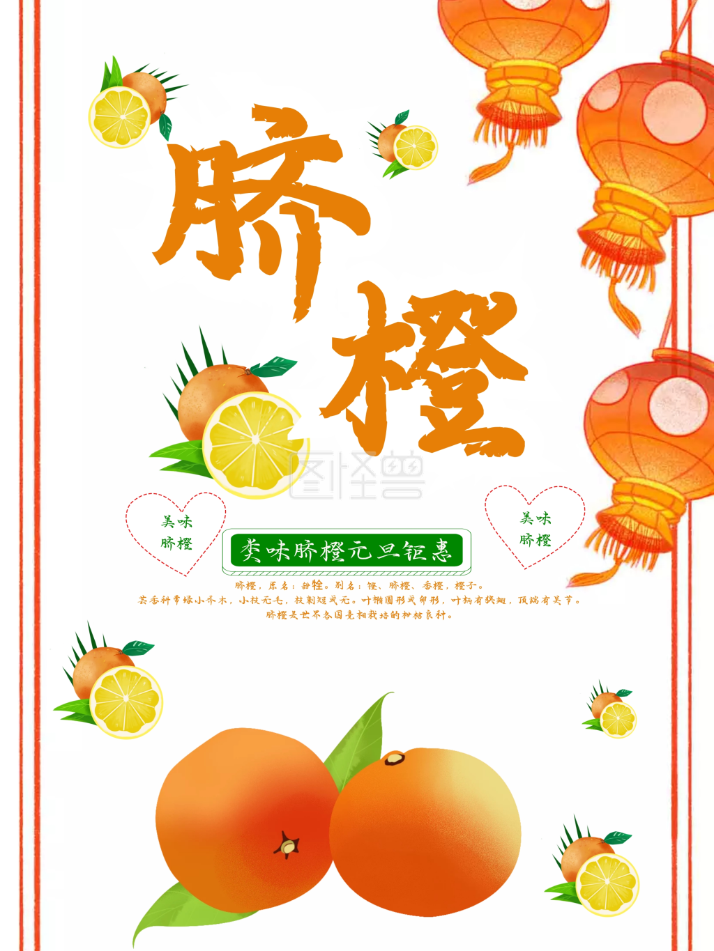 白色背景橙色脐橙美食海报psd模板