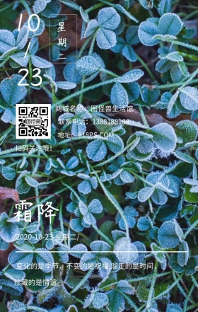 霜降季节节气树绿色文艺简约日签