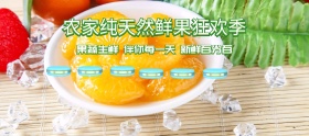 简约新鲜果园水果banner