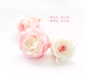 一季花开 陌上香文艺伤感朋友圈封面