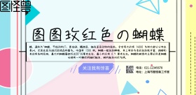 简约玫红色蝴蝶宣传横版海报