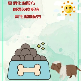 淘宝狗粮主图设计