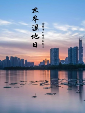原创插画绿色世界湿地节日卡通海报配图
