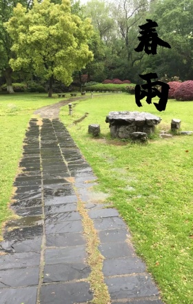 谷雨手绘插画雨水文艺小清新海报H5模板