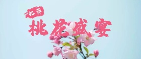 拉萨桃花节盛宴旅游公众号封面