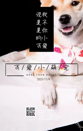 萌宠小可爱日签 