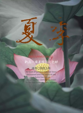 小清新夏季新品海报