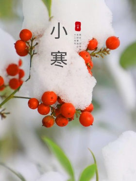 原创插画二十四节气之小寒海报