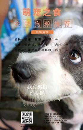 宠物店狗粮宣传单营销日签