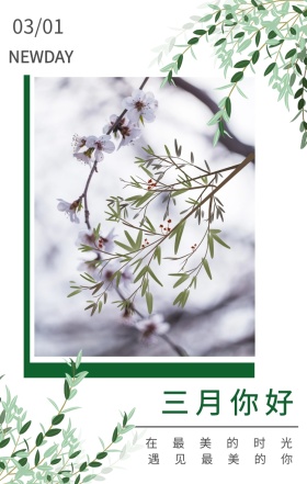 三月你好 03/01 NEWDAY 在最美的时光 遇见最美的你 三月你好日签