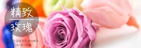 精致文艺玫瑰海报