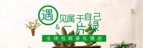 绿色清新多肉绿植盆栽手绘电商banner淘宝海报