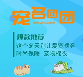 萌宠宠物可爱动物朋友圈封面