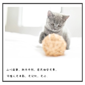 简约复古欧洲街景公众号正方形配图