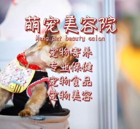 萌宠美容院