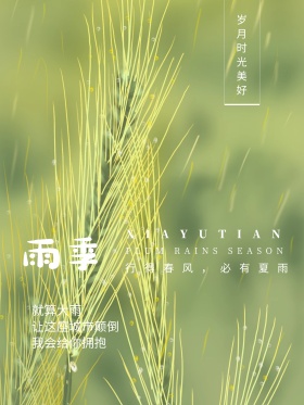 日系简约下雨天红包配图海报