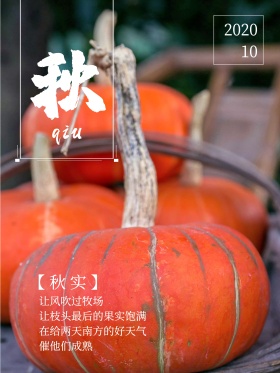 南瓜秋天唯美海报设计