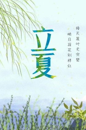 立夏荷花公众号配图