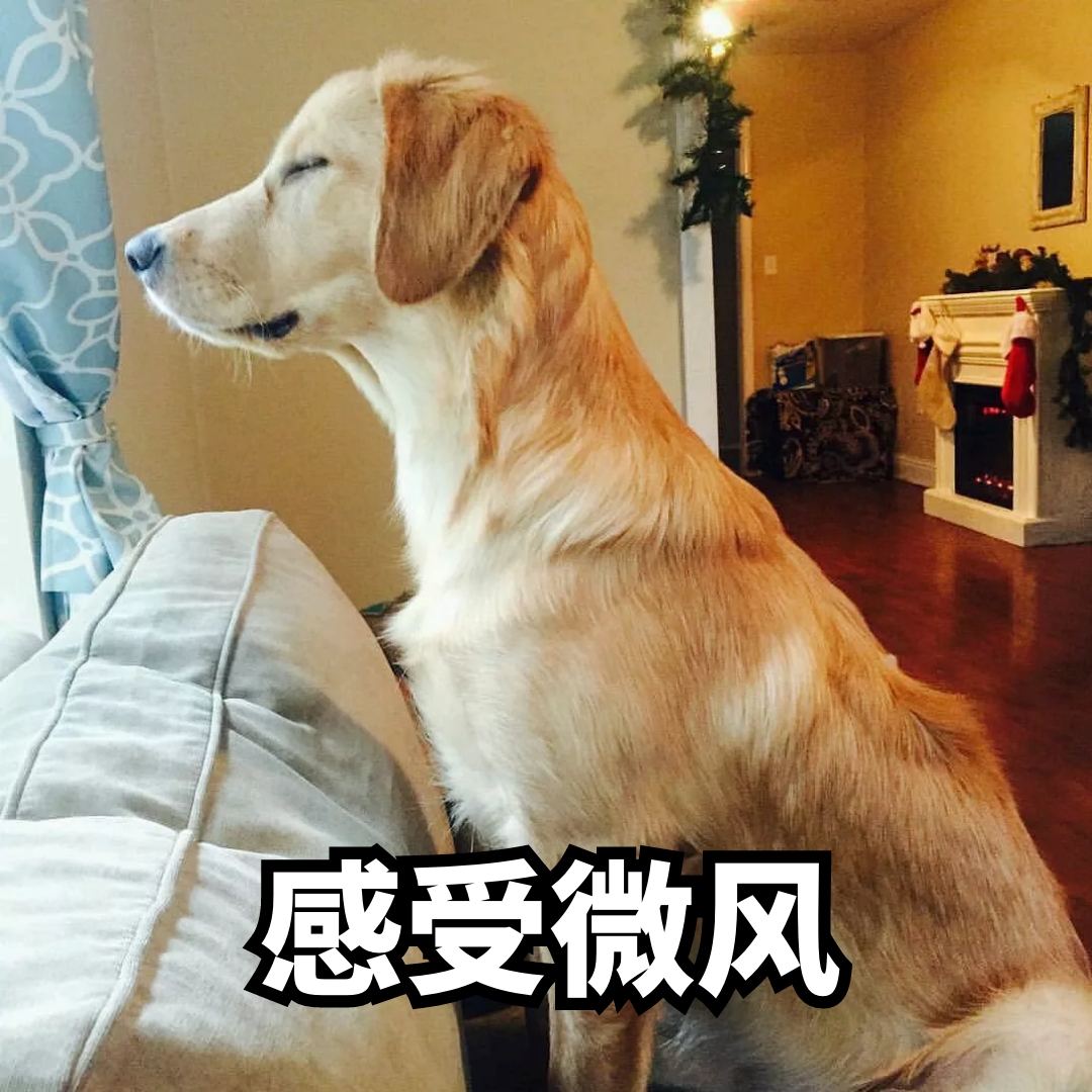微风