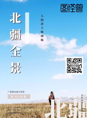 北疆全景旅行活动宣传海报