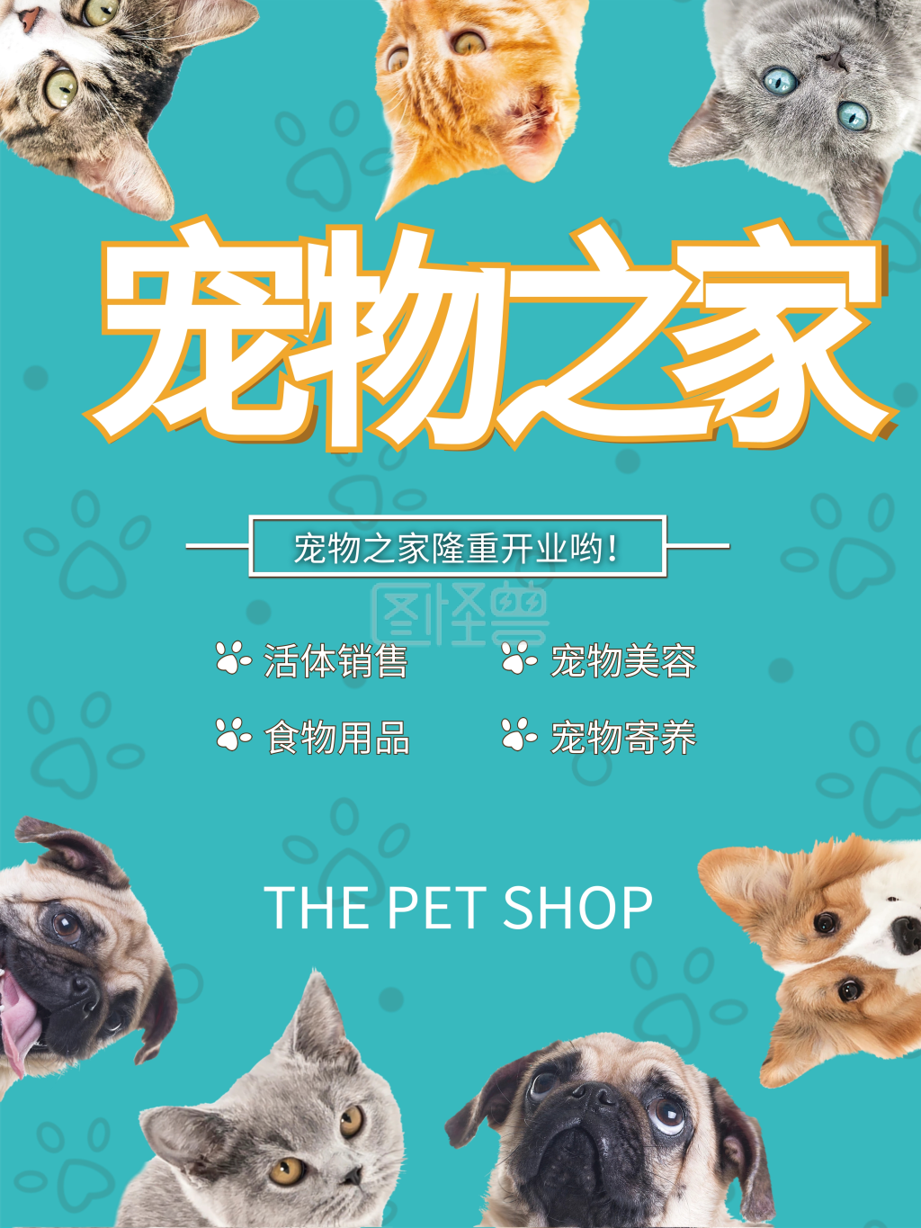 宠物之家宠物店铺海报