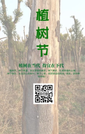 植树节绿色宣传创意海报