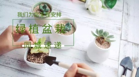 绿植同城文艺全城速递公众号封面模版