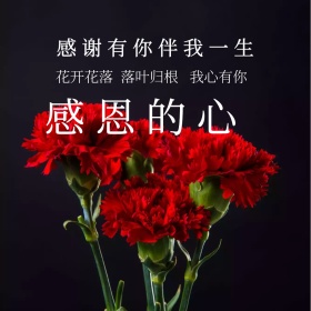 感恩的心母亲节拥抱宝宝公众号配图