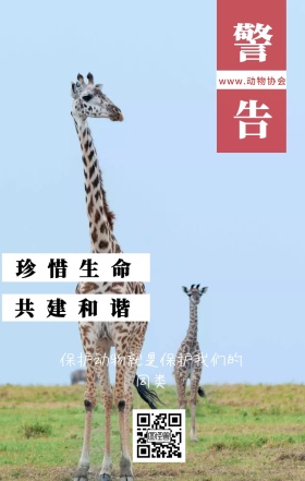 警告 珍惜生命 共建和谐 www.动物协会 保护动物就是保护我们的同类 保护动物公益宣传手机海报