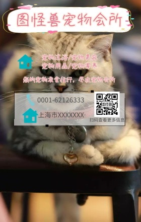 宠物店手机海报