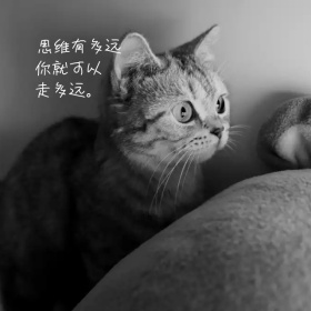 思维手机微博封面