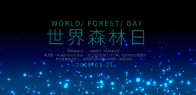 绿色树木世界森林日海报