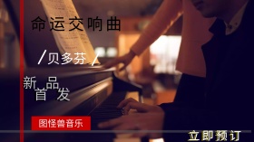 音乐唱片新品发售节日活动商务风广点通
