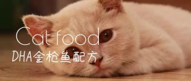 日系橘猫可爱花树摄影图片公众号封面