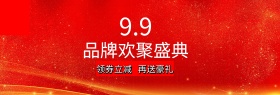 紫色时尚99大促淘宝电商banner99品牌欢聚盛典