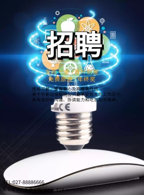 扁平手绘精英招募令海报