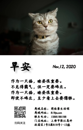 猫咪睡姿早安简约日签