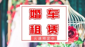 婚车租赁租赁服务红色玫瑰花公众号封面
