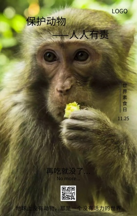 黄色简约保护动物主题海报