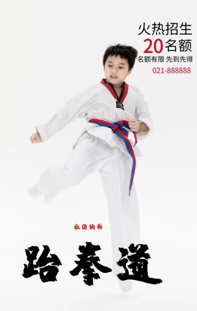 淡蓝色创意跆拳道火热招生手机海报