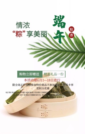 中国风水墨画粽子龙舟端午节促销手机海报