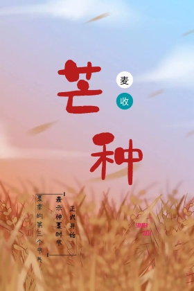 芒种麦穗背景简约公众号配图