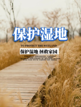 清新简约保护湿地节海报设计
