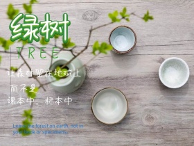 绿树地球保护森快绿色创意公众号配图