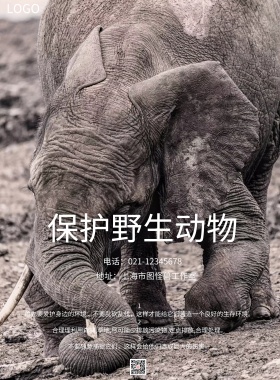 保护野生动物海报