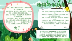 有关动物的手抄报宣传