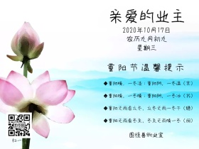 物业重阳节日温馨提示