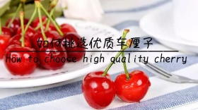 你身边的设计怪兽