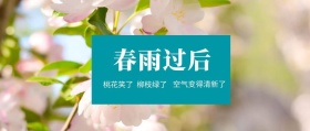 春雨过后 柳枝绿了 桃花笑了 空气变得清新了 春季春天你好公众号封面